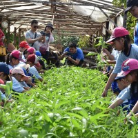 Outdoor Study Agrowisata SCW Kelas 1- Feb 2020